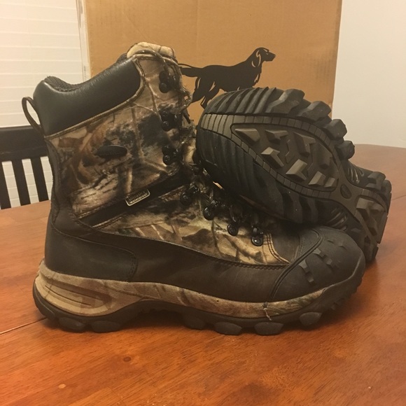 Irish Setter Grizzly Tracker Hunting 